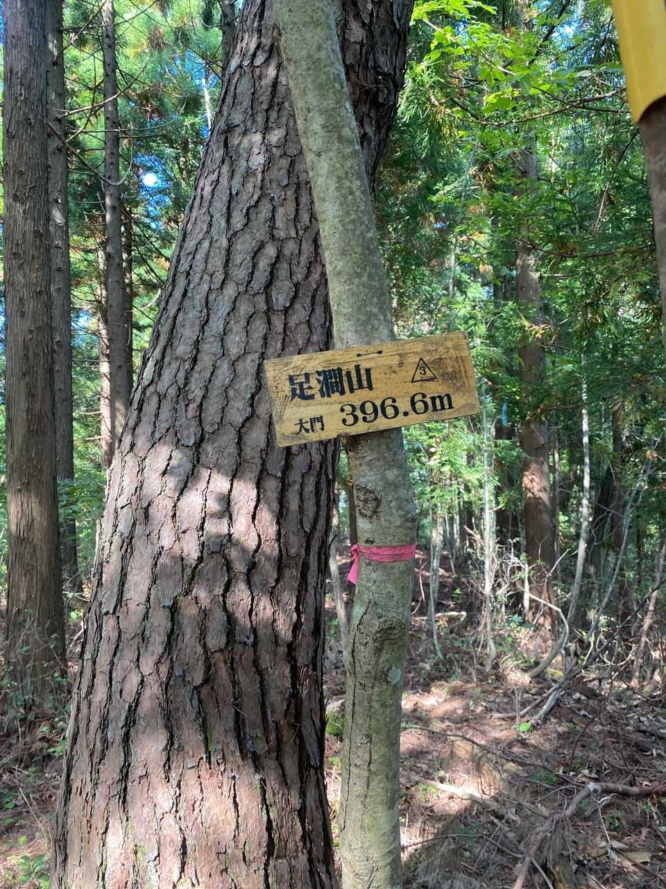 足澗山山頂。標高396.6m。