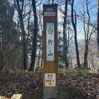 立派な標識その2