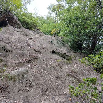 ピークからすぐ西のルートで下山すりゃいいものを、ここを見たくて迂回したら、この後迷った。