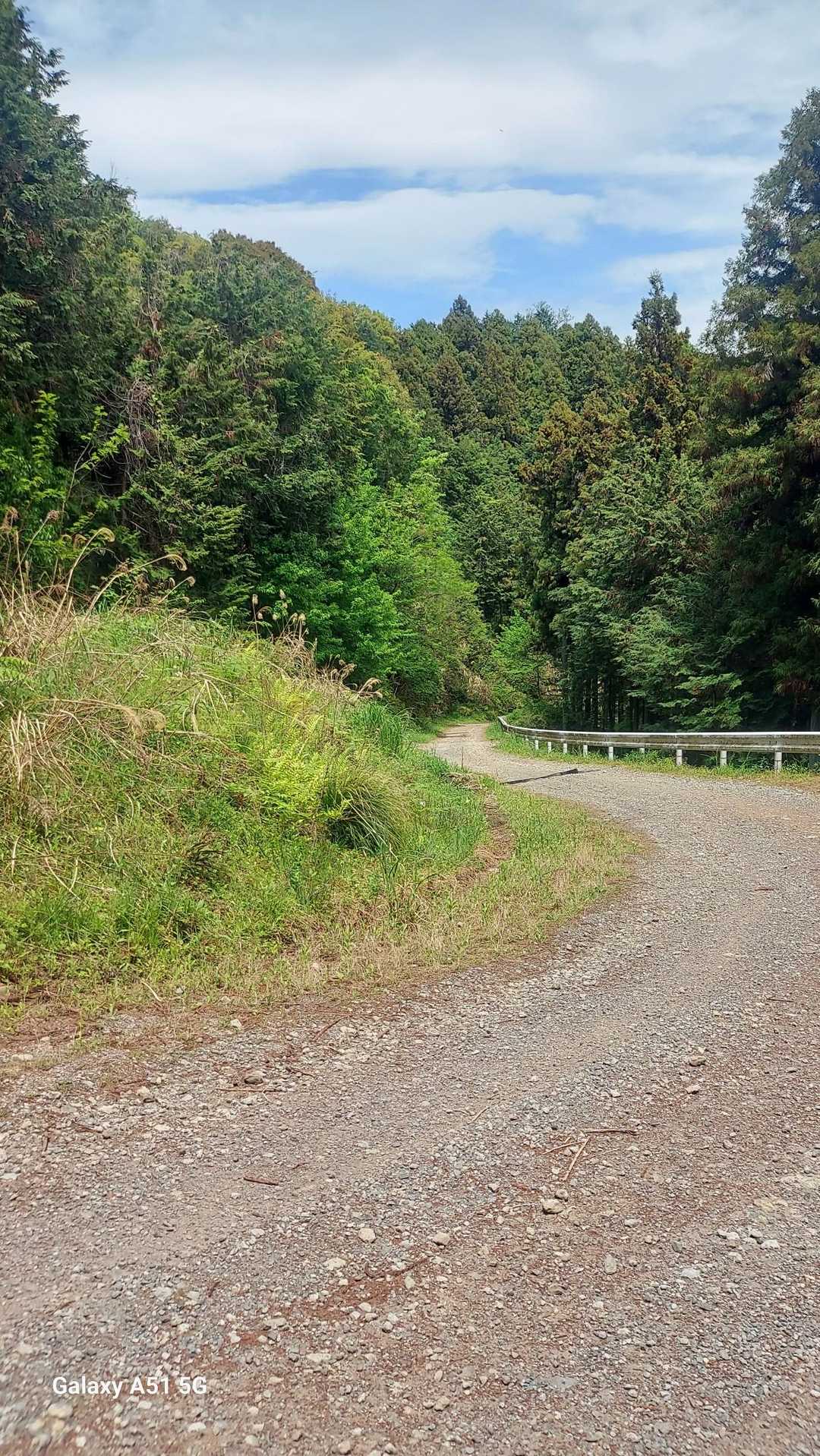 車道を延々と歩きます🎵