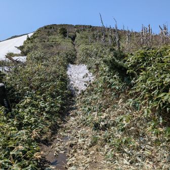 直登の方の残雪はもう消えかけ。