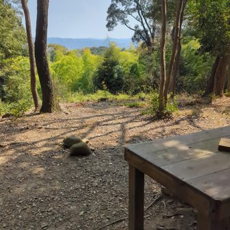 こんなだったー？？？
全く思い出せない〰️

って大きな勘違いをしていたのを、あとから気づいた！
天下峰って読んでた💦
天か峯でした😱
そりゃ初めてきたから、思い出せないわ！！