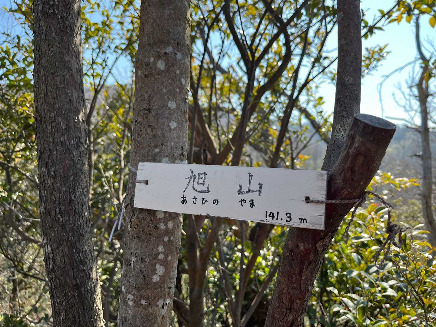 ラスト24ピーク🚩旭山✨体力はまだありましたが、安全の為、余力を残して下山します。茄子石山、神宮山、早刈山、西茨尾山のピークは、近くを通過しただけでとれていました。