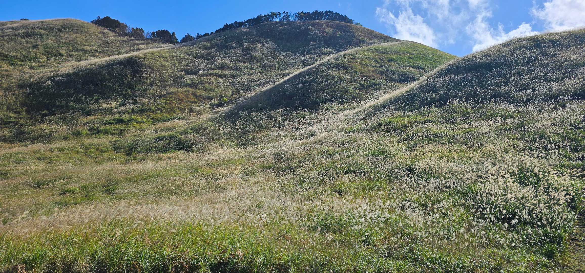 朝は日陰になってた山肌が輝きだす✨
