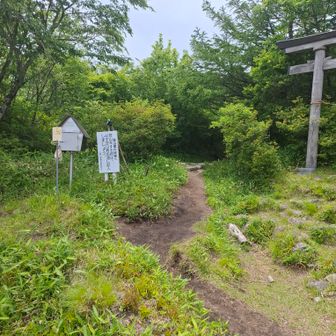 下山完了