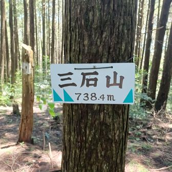 三石山山頂▲とーちゃく