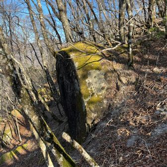 きれいな断面の巨岩🪨