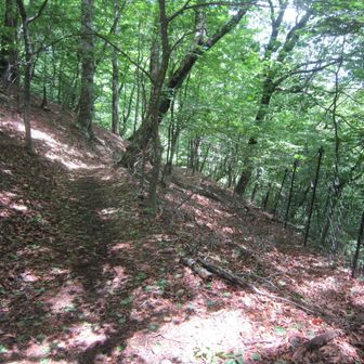 下山開始。
ムシカリ峠では数人が休んでいた。登って来るハイカーに道を譲りながらどんどん先へ。
