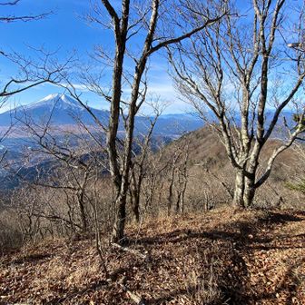 このあたりは富士山を見ながら緩やかな稜線歩きで最高