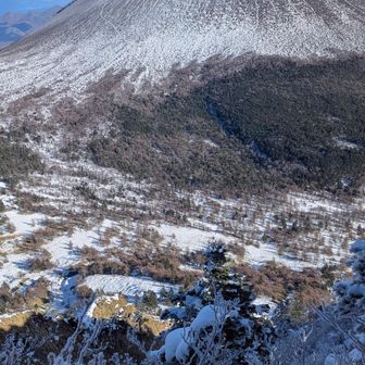 浅間ゴールドには来れなかったけど最高のガトーショコラ頂きました♥