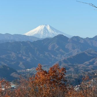 八重山からの🗻