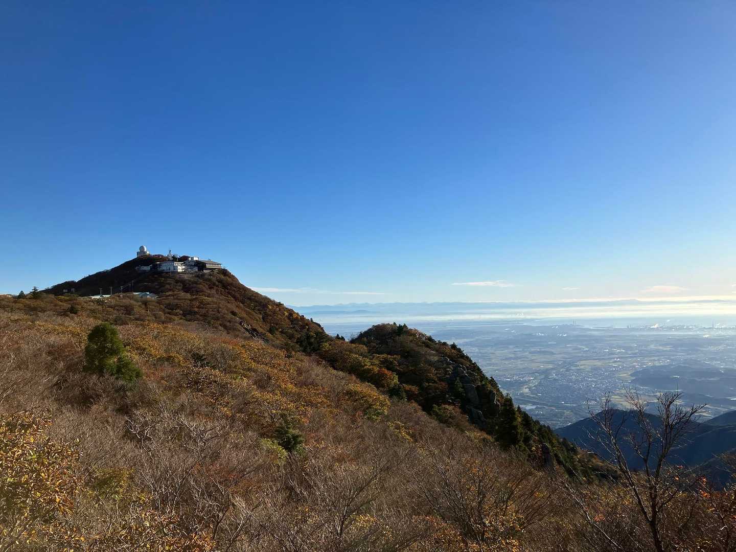 山頂付近。ちょっと時期過ぎたかなー枯れてました