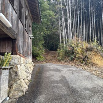 ここで竹の杖を借りる