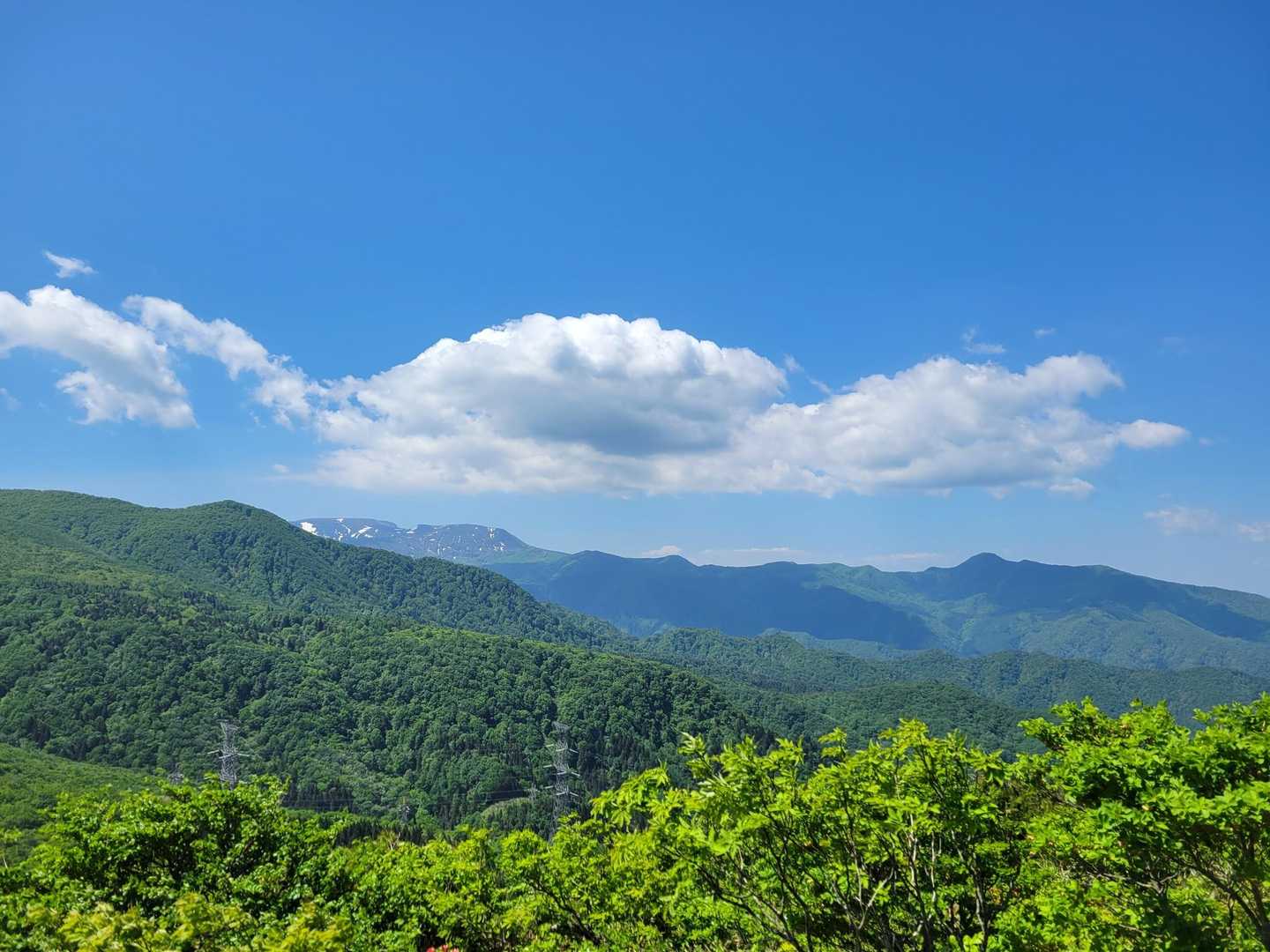 大関山-ハマグリ山-トンガリ山 往復コースの写真