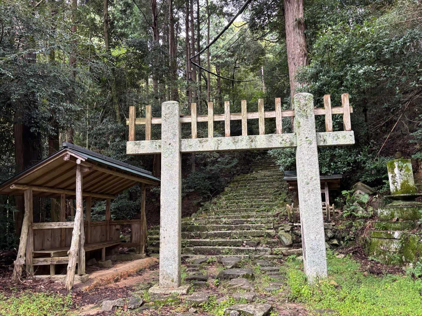 なかなか癖の強い鳥居に迎えられながら、寿命を伸ばすため階段を上がります。
