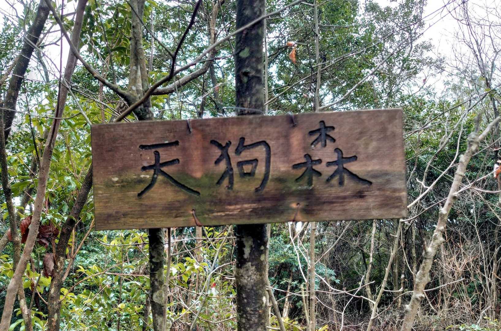 わりと早く2座目　天狗森🚩