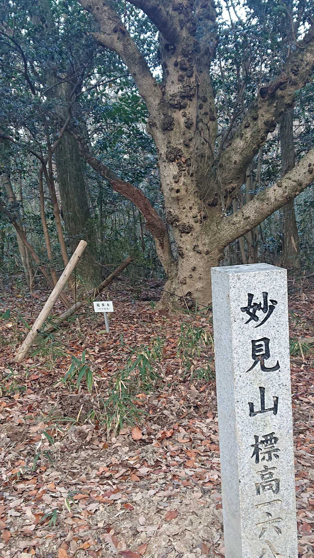 3分程で山頂。でも後ろの方にもっと高い山が見えてるけど。今回はランニング中なのでそれはほっといて、次の高塚山(西区)へ。