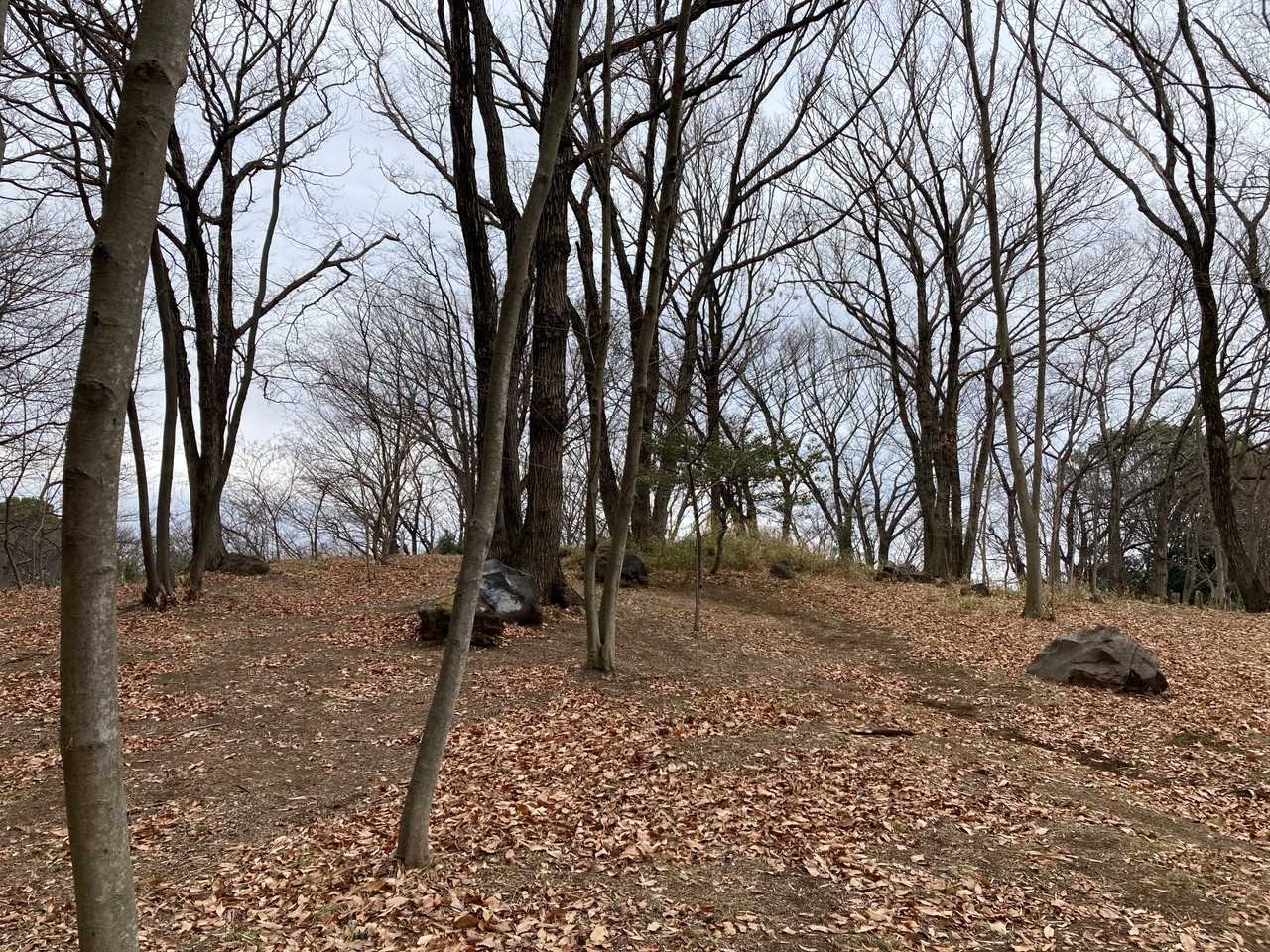 　　　　　　丸山頂上⛰

　そして。。その後、母に連絡すると。。
　弟が来て。。洗濯機を壊していった‼️と。。
　　　😱😨😱😨😱