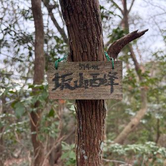2⃣坂山西峰山頂⛰️