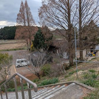 無事に出発地点に戻ってきました。
犬に嚙まれることも猟銃で撃たれることもなく戻れて良かったです。
