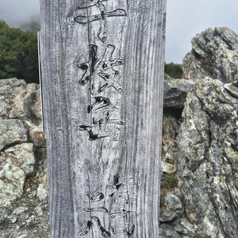 稜線に出てよくわかる…周りは真っ白🫥
