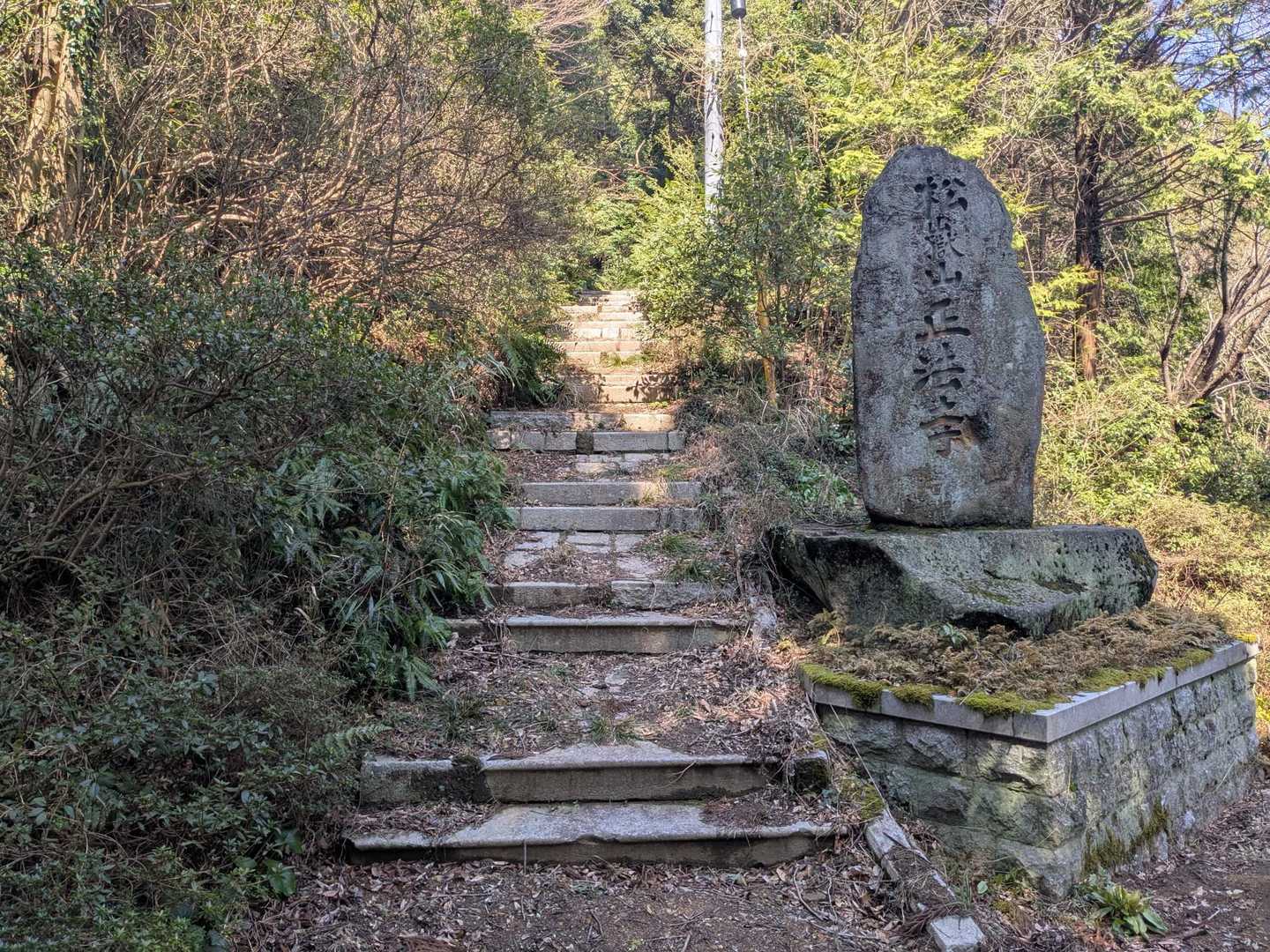 ここから少し本格的な山道になった