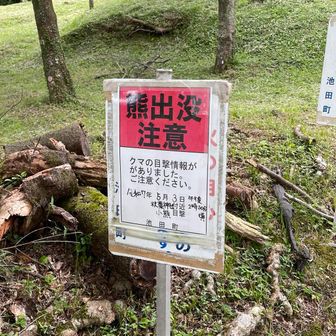 まあ一年前だから大丈夫かな