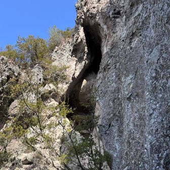 ここも不思議✨
岩穴の間に祠があります🙏