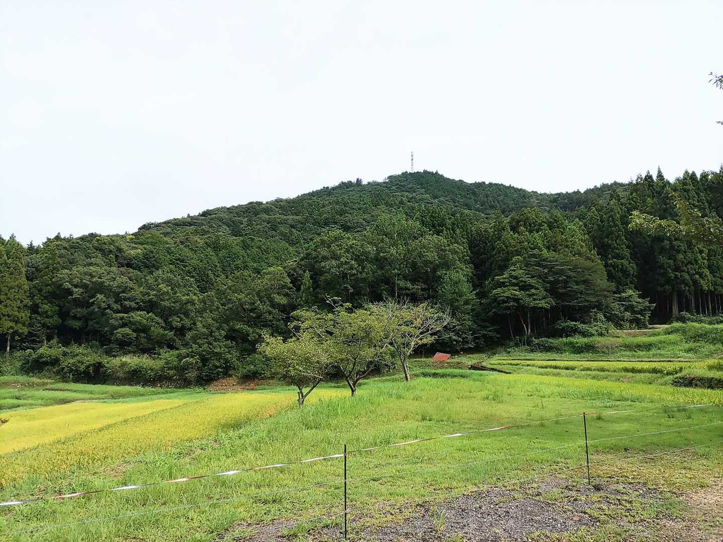駐車場から大道山
雨が止んで良かった
➡比礼振山へ向かう