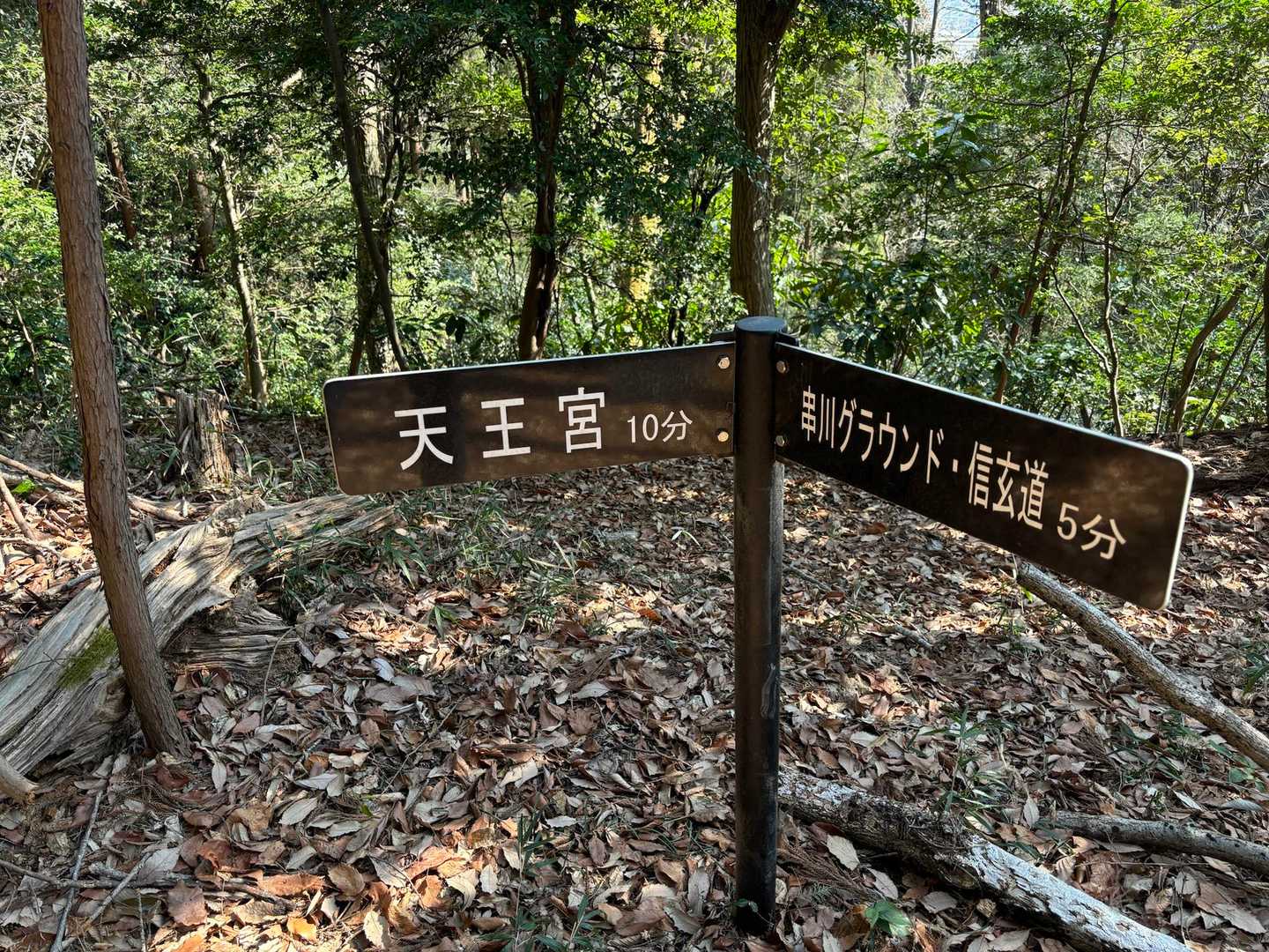 ハイキングコースになっていて案内板多数