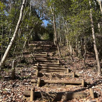 階段の先（ゴール）には、カツ丼、ステーキ、ラーメンが待っている！と意味不明な妄想で自分を鼓舞しながら駆け上がる🤣笑

先に居たのは、上下スゥエット姿のおじいちゃん👴でしたー！
