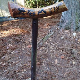 馬の置物が無いので
今日は猫2匹で！！