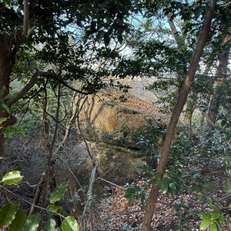 ハンバーガー🍔岩っぽいけど違ったようだ。