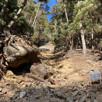 　登山道… か？😄