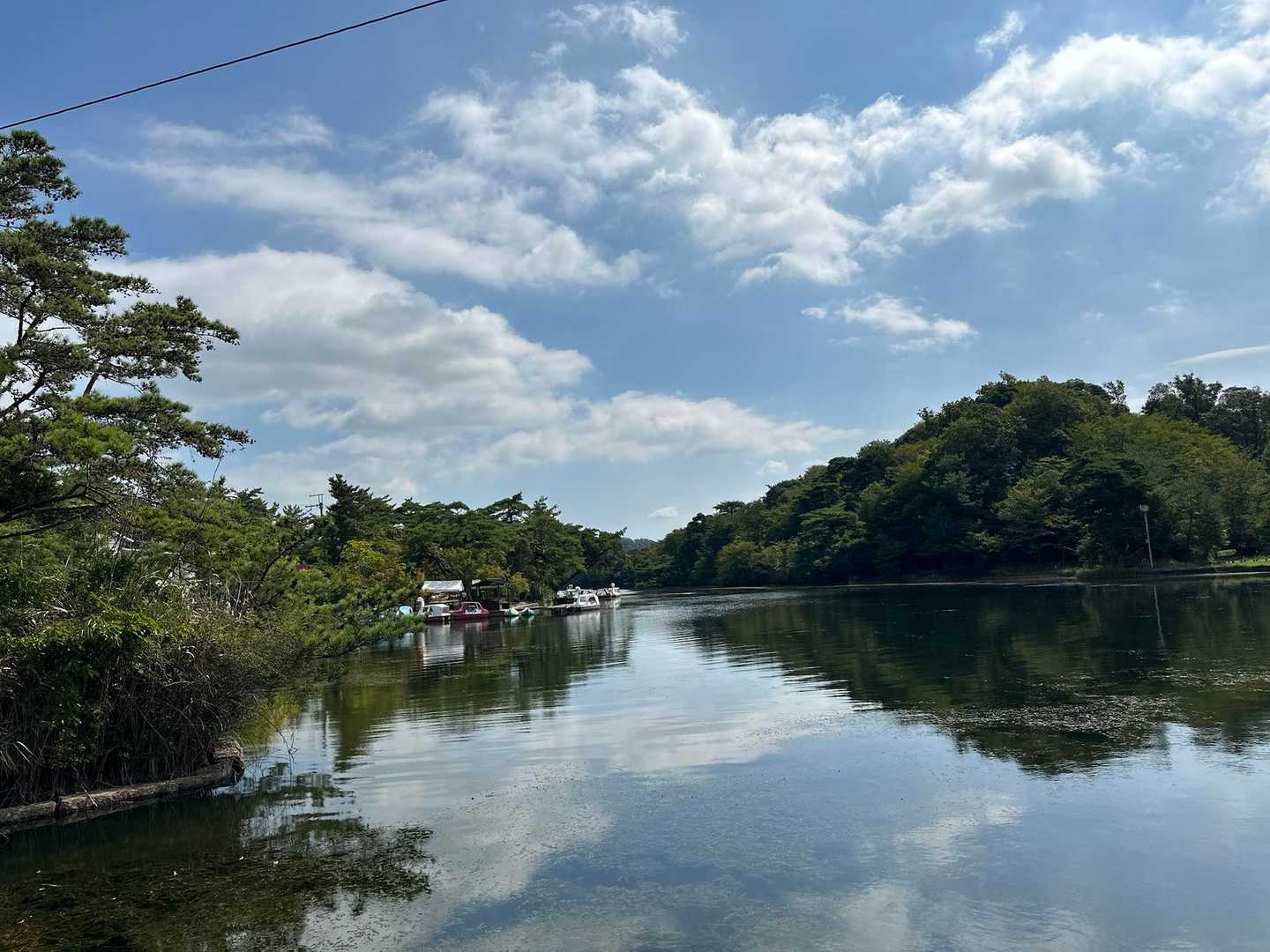 池を眺めてリフレッシュ✨🌊😊