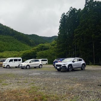 だいぶ増えました🚗
