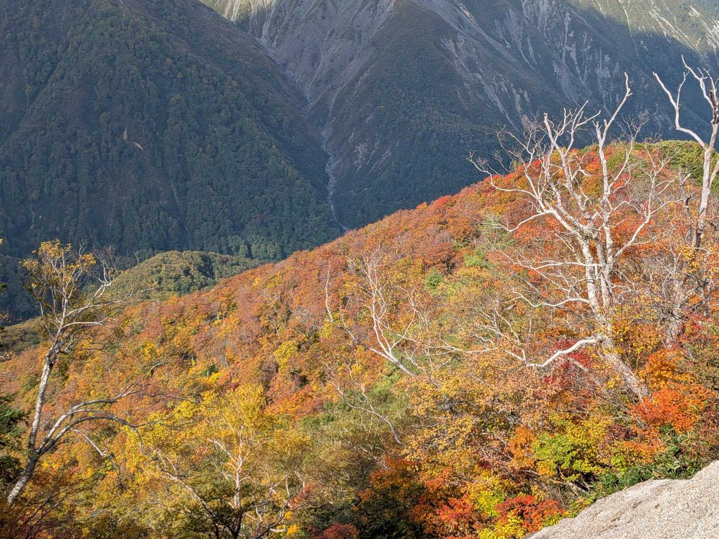 地蔵の頭-二ノ背髪-小遠見山-五竜登山口-中遠見山-大遠見 縦走コースの写真