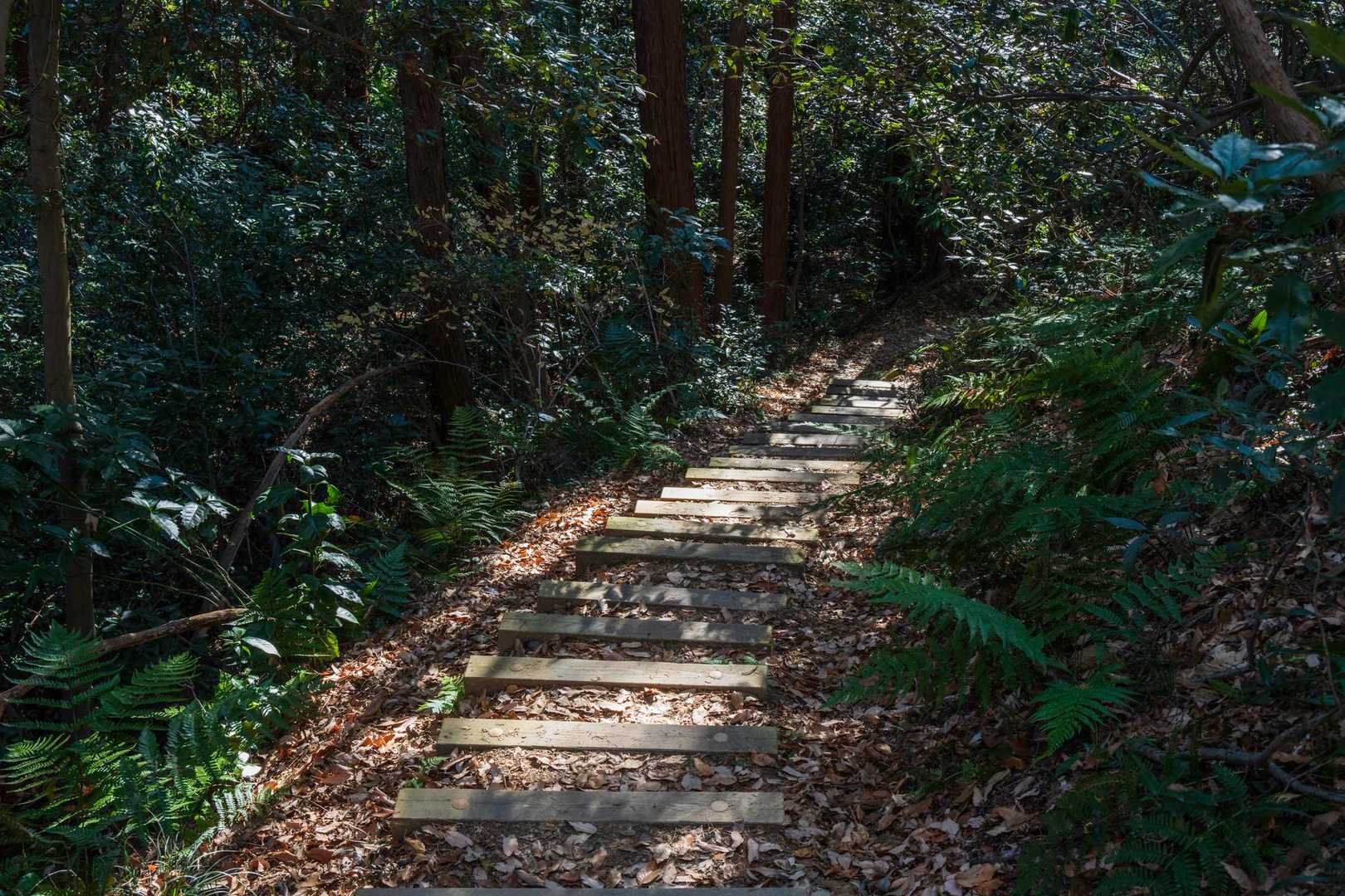 良く整備された道。