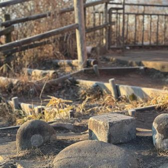 榛名富士🗻
三角点