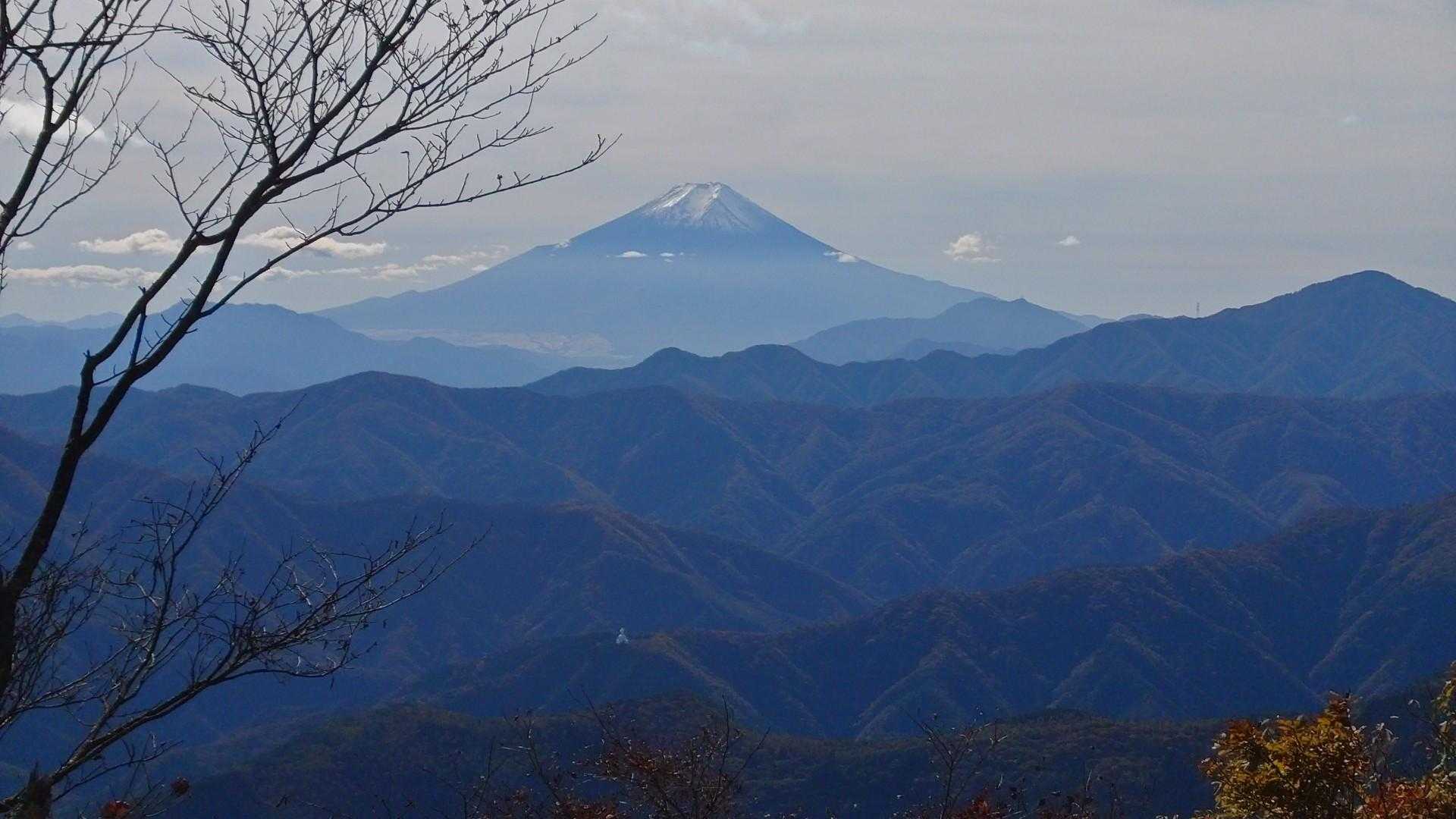 鷹ノ巣山 往復コースの写真