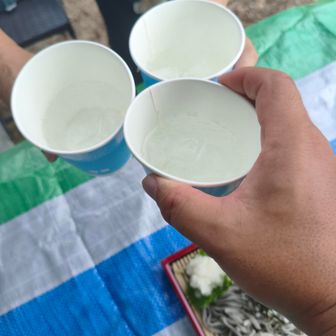 今日はサイダーで乾杯🍻