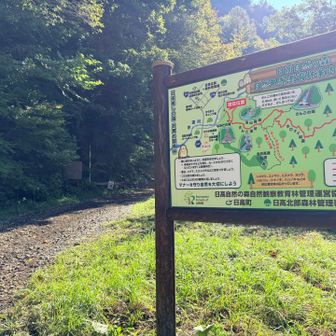 林道を進む