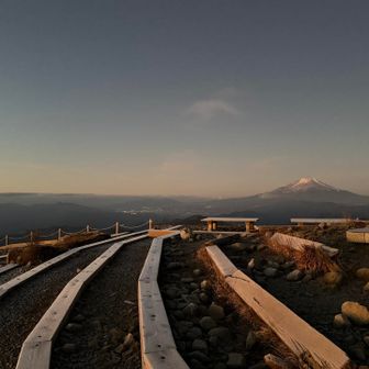 モルって来た〜