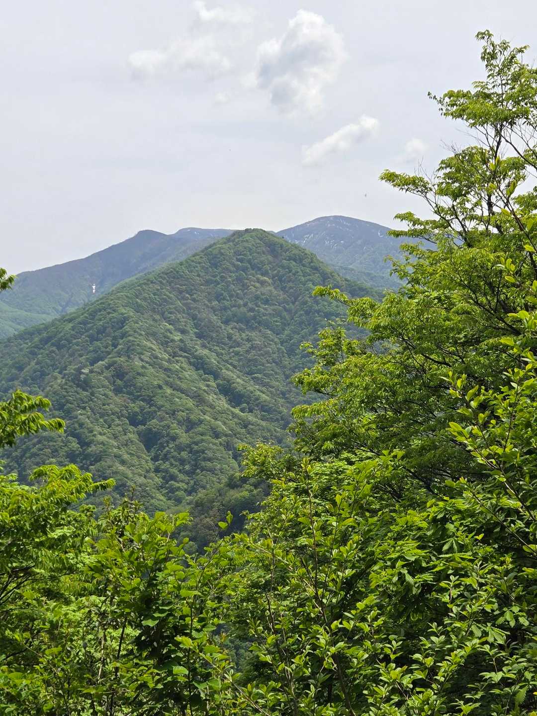 右手に富士写ケ岳が見えました