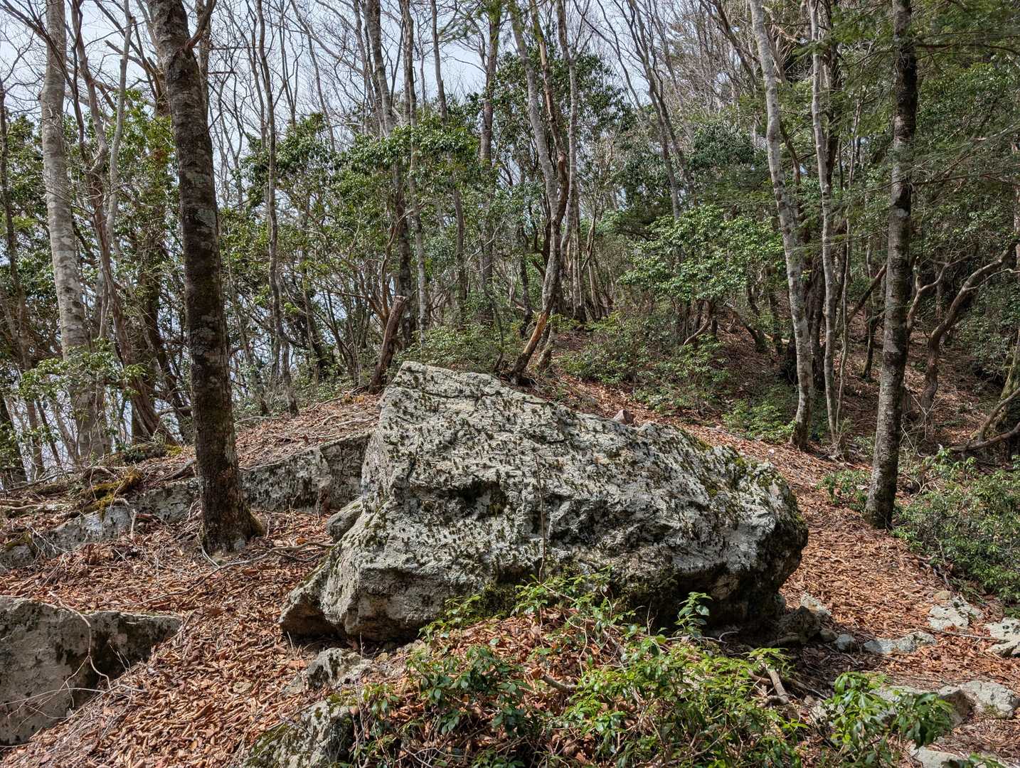 大きな岩が露頭しています。