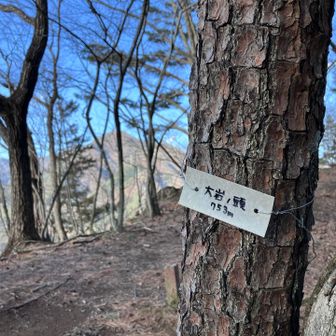 大岩ノ頭　753m