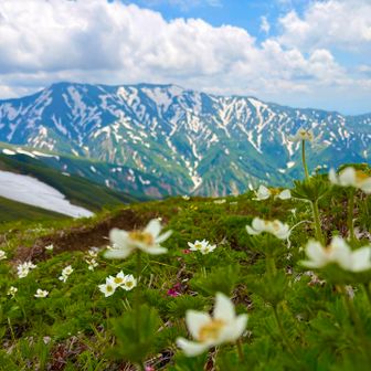 飯豊最高峰 大日岳