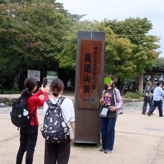 山頂です！