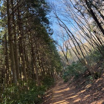 次いきます。踏み跡は充分。