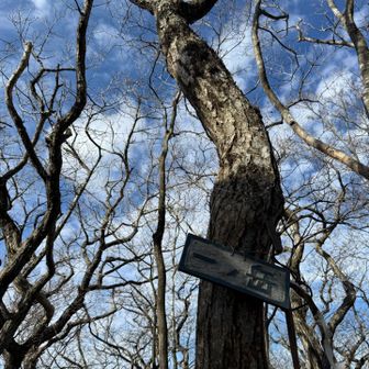 一ノ岳登頂
看板かわいい